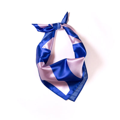 Silk Pop Scarf