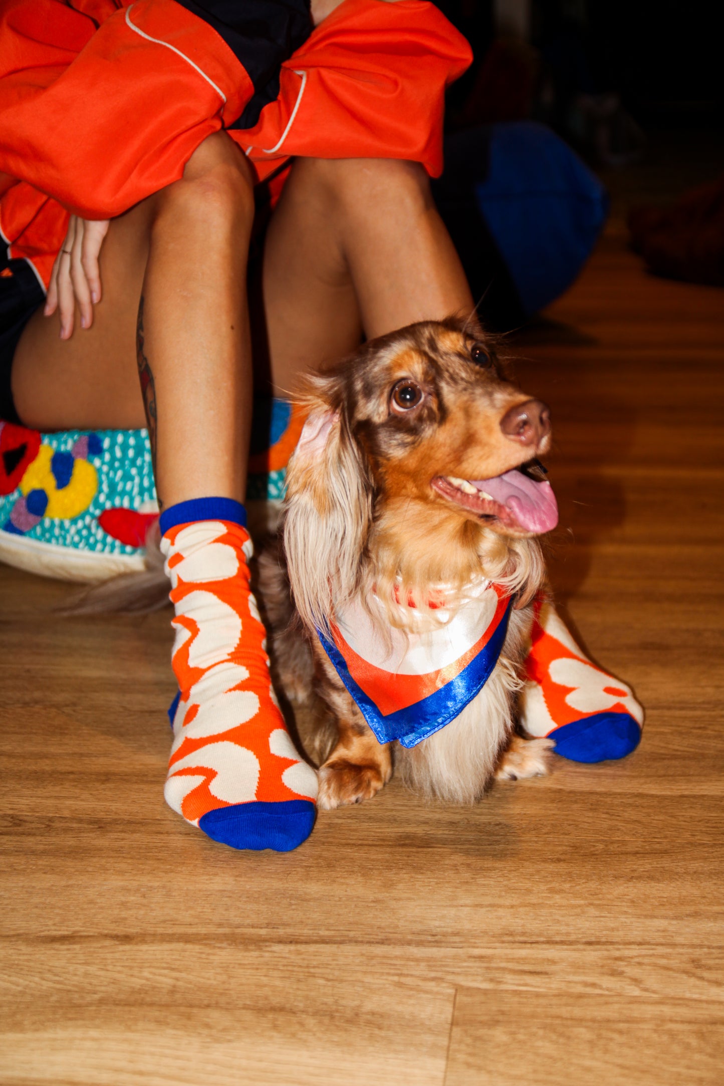 Wander Wonder Socks